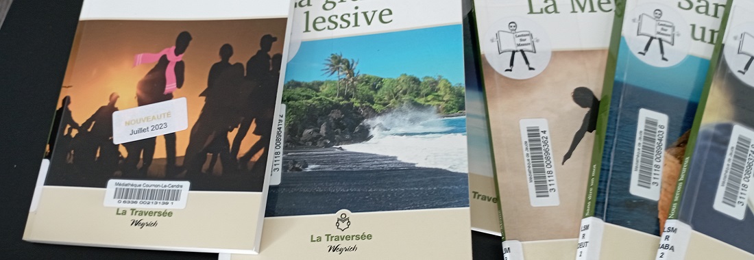 La Traversée, une collection de romans accessibles à tous les adultes